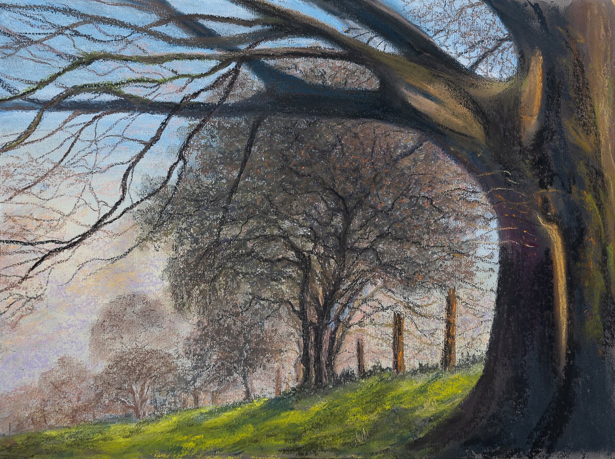 Vindblåste trær..Shroesbury, 2020 (pastell) av Margo Starkey