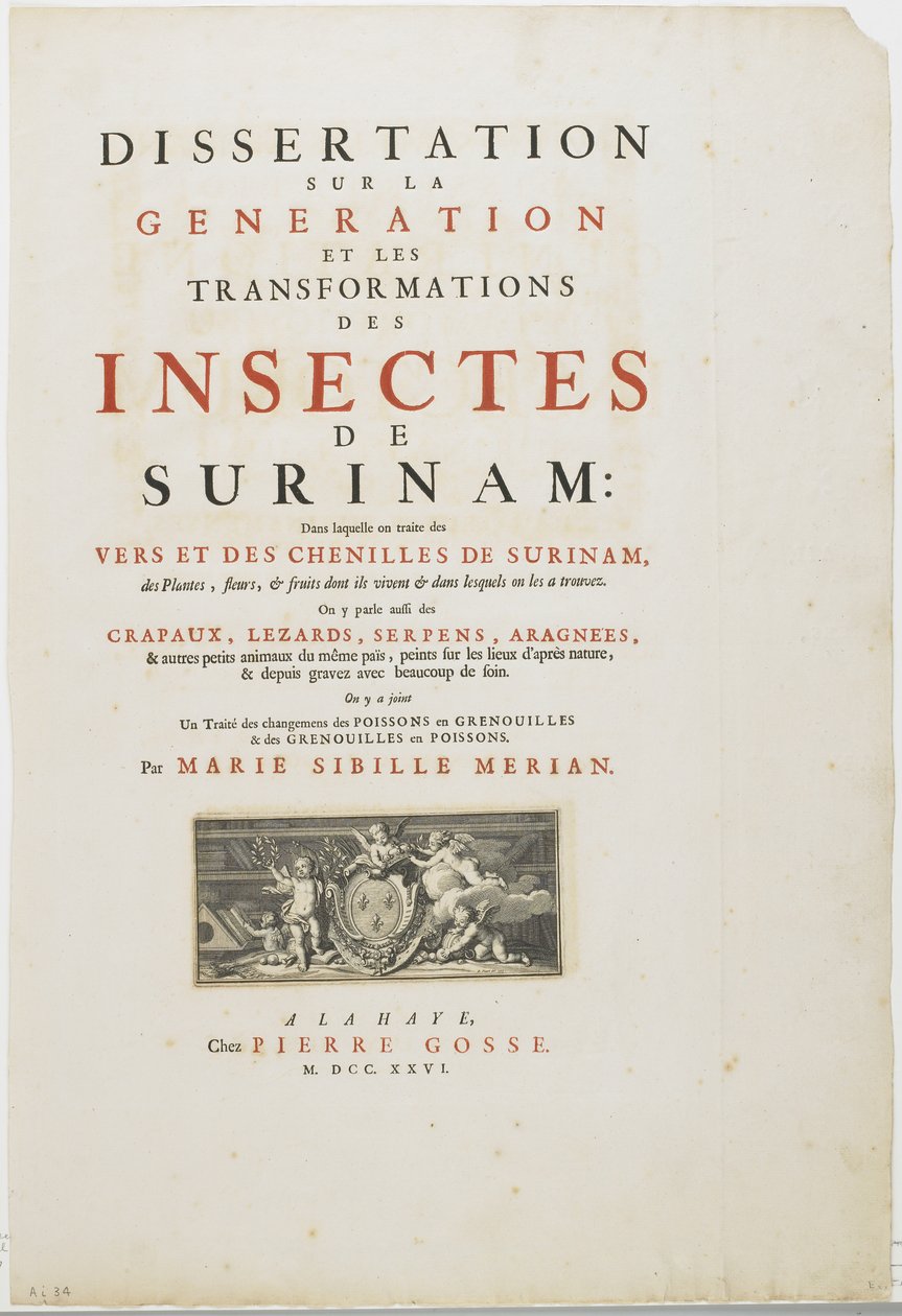Tittelside fra Metamorphosis Insectorum Surinamensium, 1726 (gravering og boktrykk) av Maria Sibylla Merian