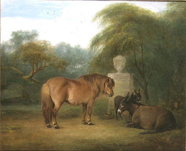 Ponni og esler i en gled av Maria Spilsbury