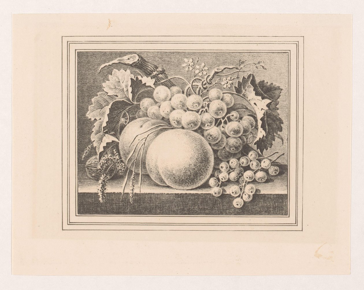 Komposisjon med frukt i ramme av Maria Geertruida de Goeje Barbiers (attributed to)