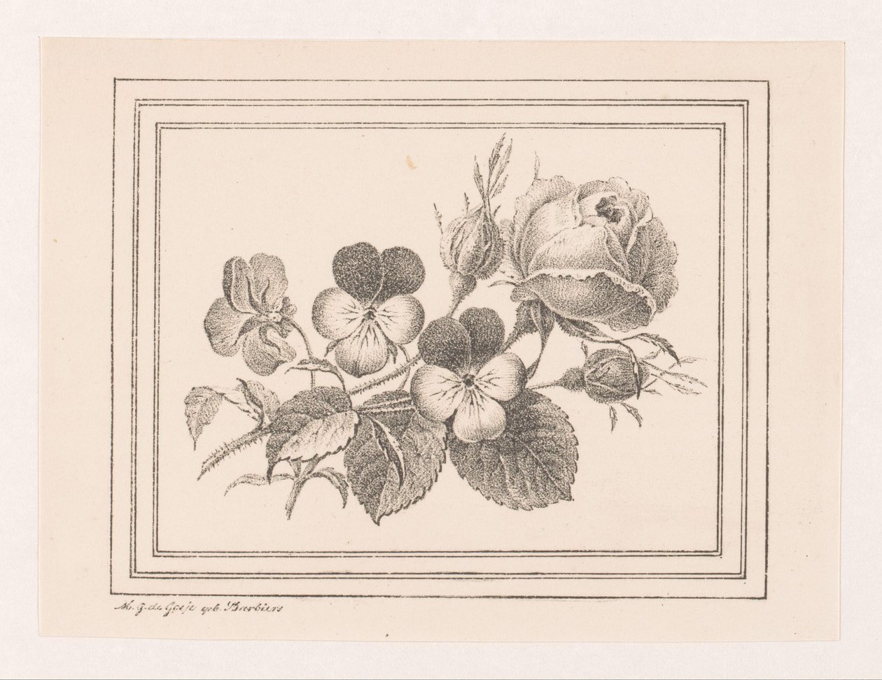 Rose og fioler av Maria Geertruida de Goeje Barbiers