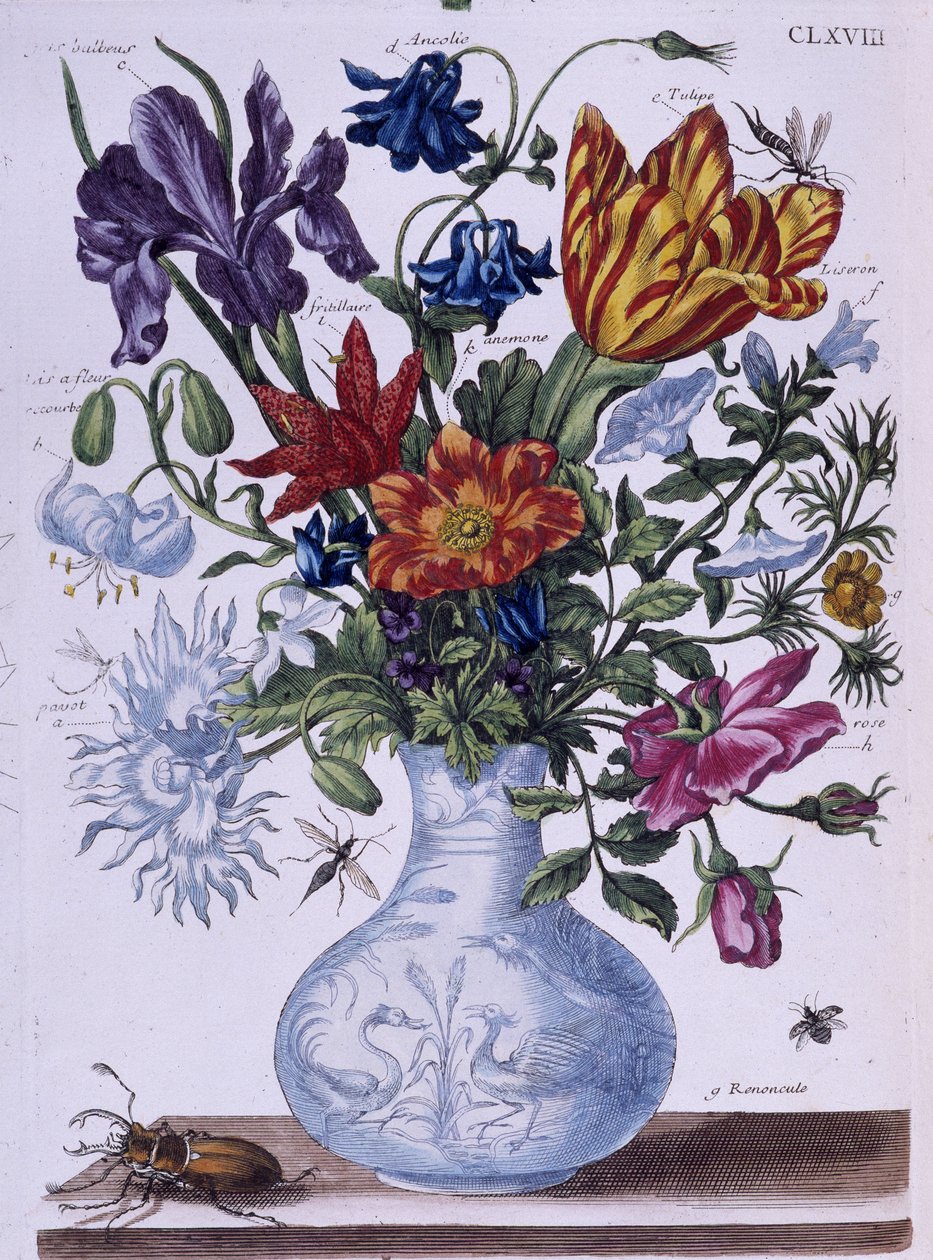 Bille og forskjellige blomster - dess. av Maria Sibylla Merian, n.d., ca. slutten av 1700-tallet av Maria Sibylla Merian