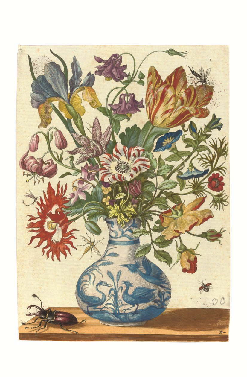  av Maria Sibylla Graff Merian