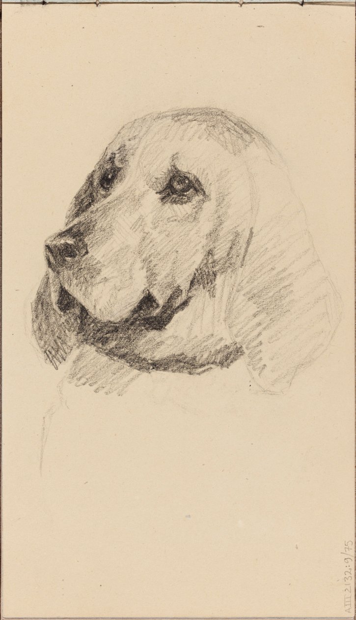 Hode av en hund av Maria Wiik