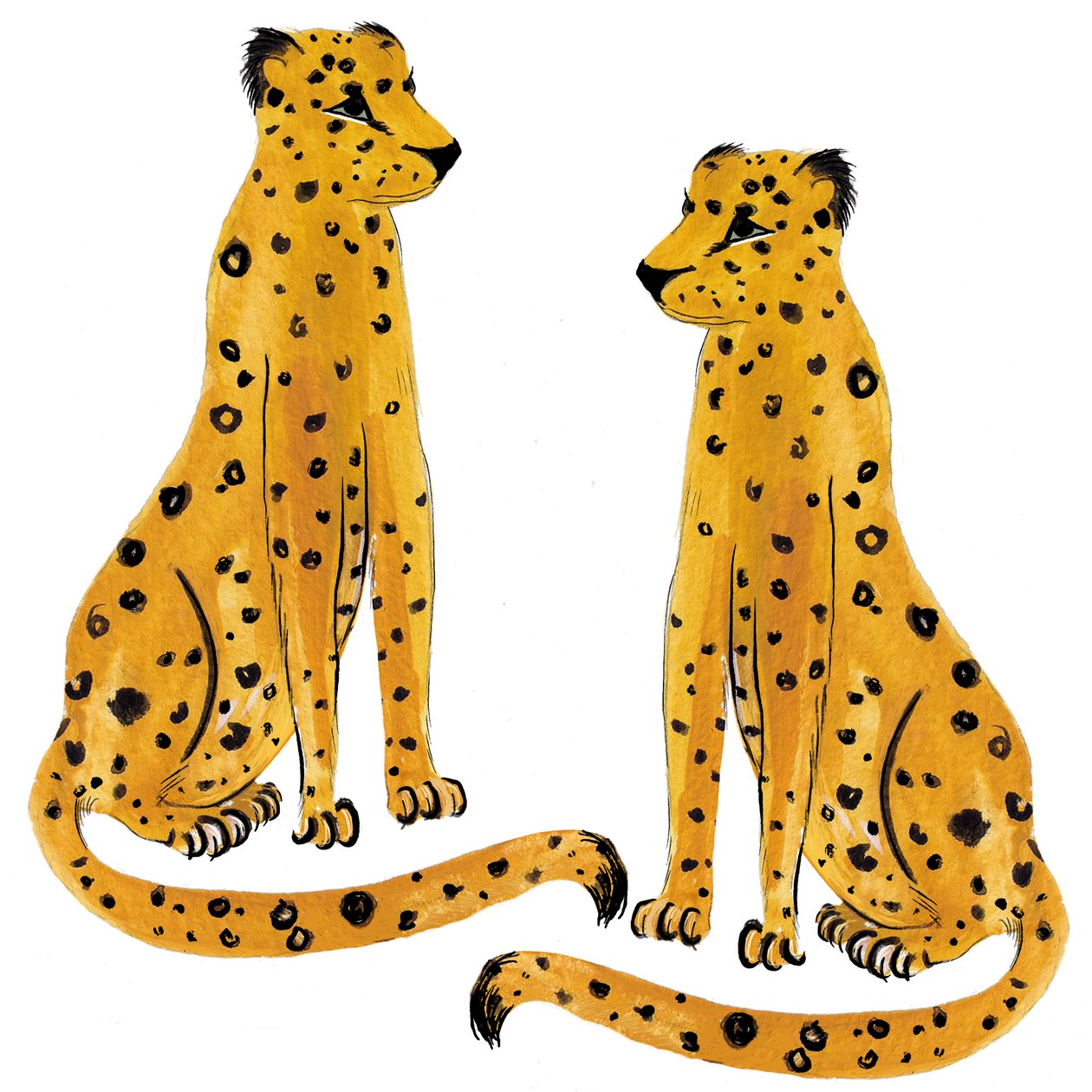 Leopardpar, 2020 av Marianna Kulukundis