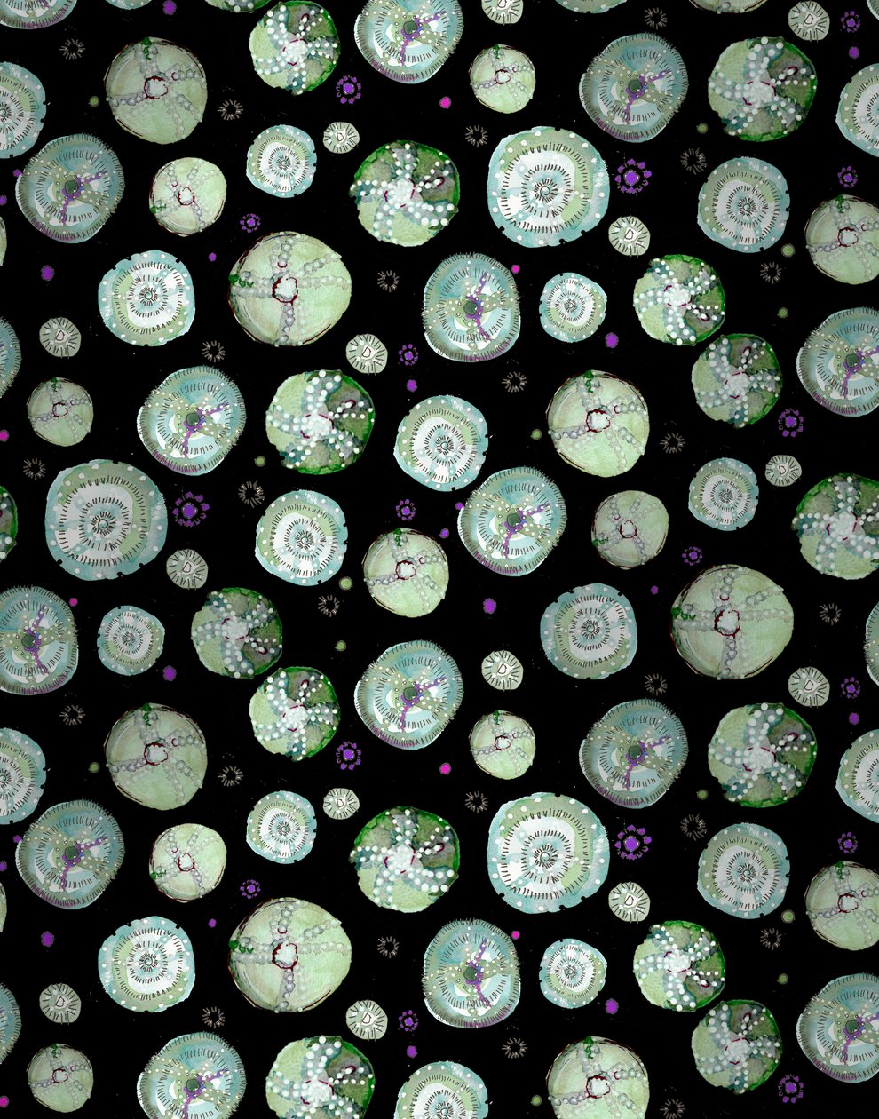 Sjøpølse Svart, 2020 (akvarell på papir) av Marianna Kulukundis