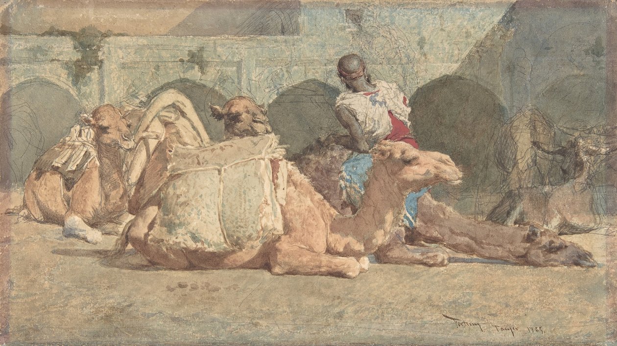 Camels Reposing, Tanger, ca. 1854-74. av Mariano José María Bernardo Fortuny y Carbó