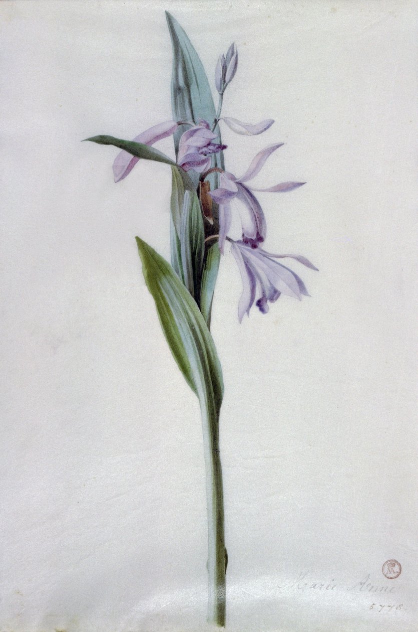 Blomsterstykker av Marie Anne