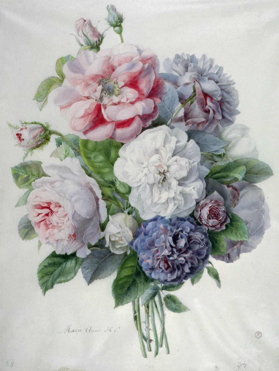 Blomsterstykker av Marie Anne