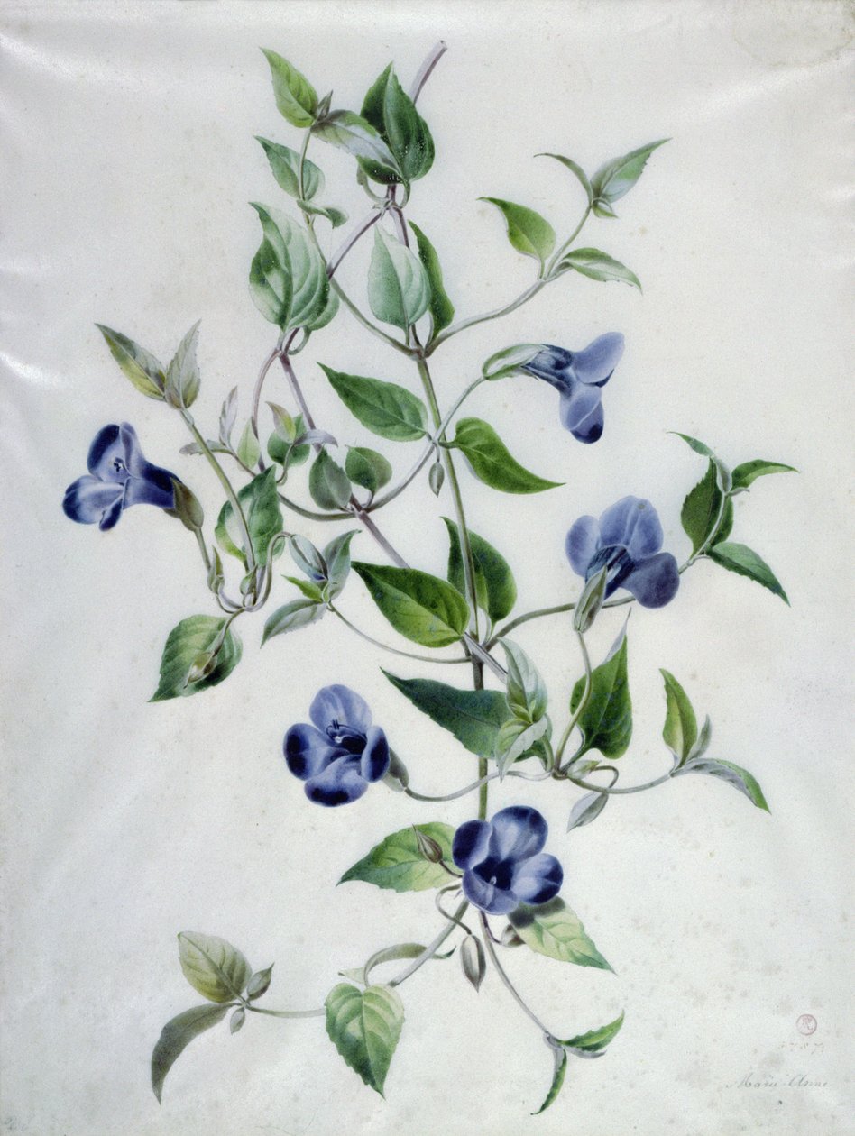 Blomsterstykker av Marie Anne