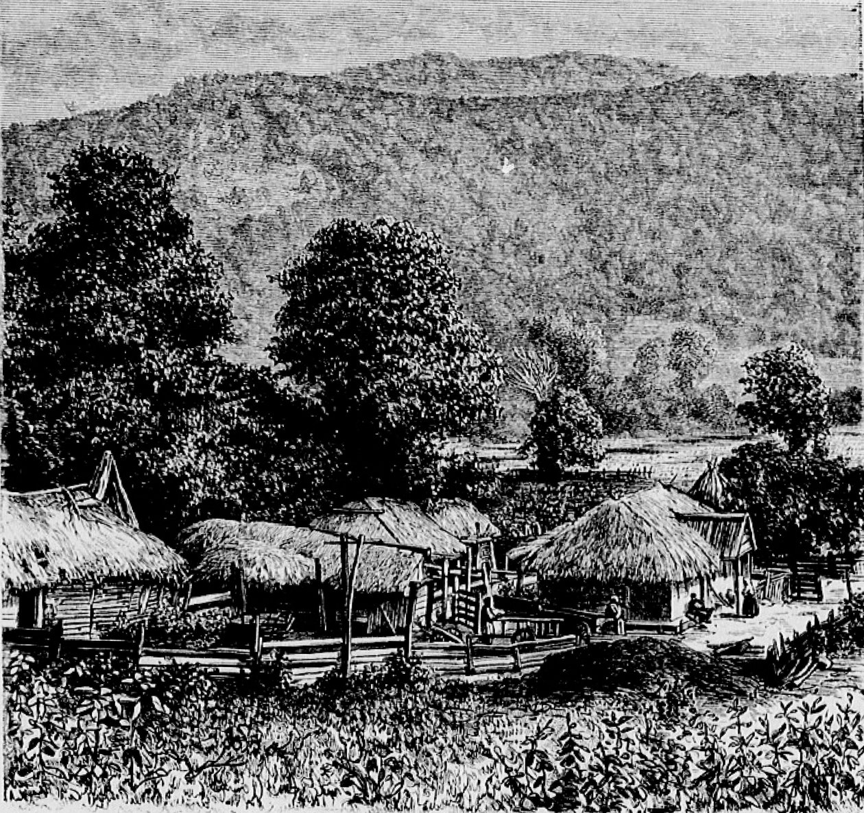 Village mingrèlien av Marie Dronsart