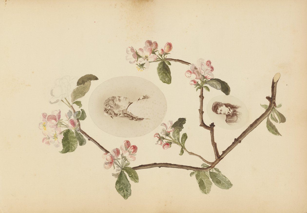 Madame B-albumet av Marie Blanche Hennelle Fournier