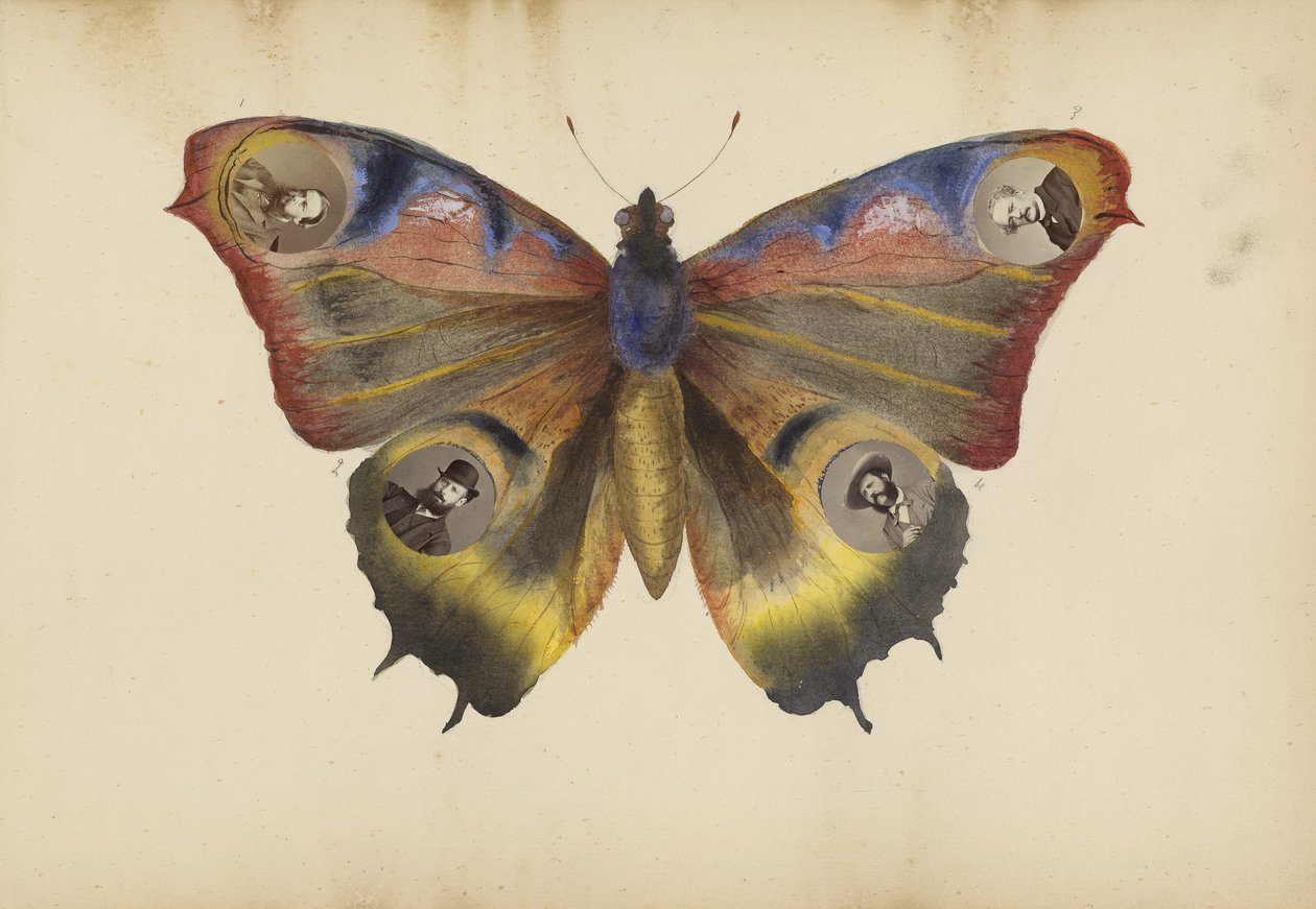 The Madame B Album, 1870-tallet av Marie Blanche Hennelle Fournier