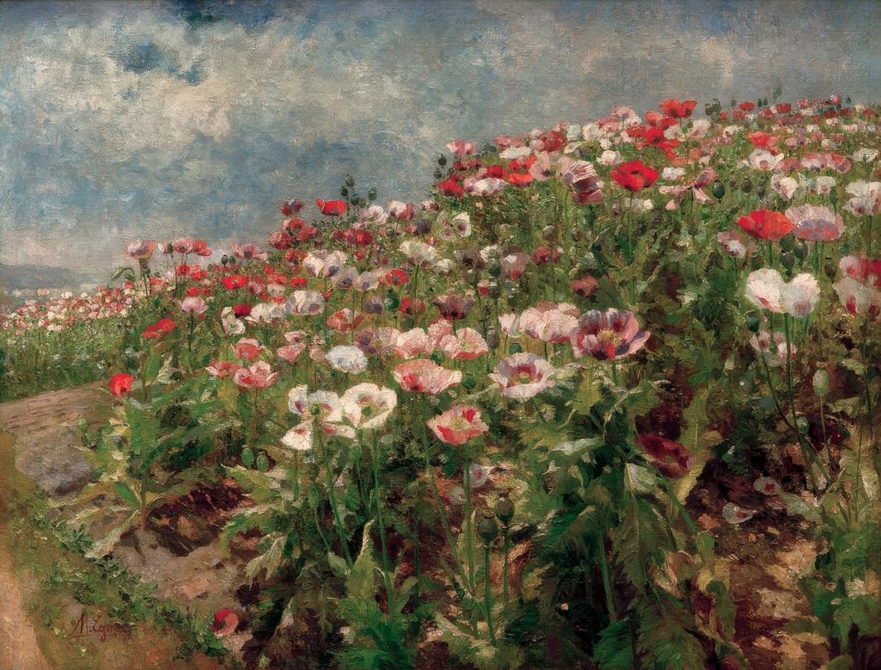 Blomstrende valmue, motiv fra St. Georgen ved Melk av Marie Egner