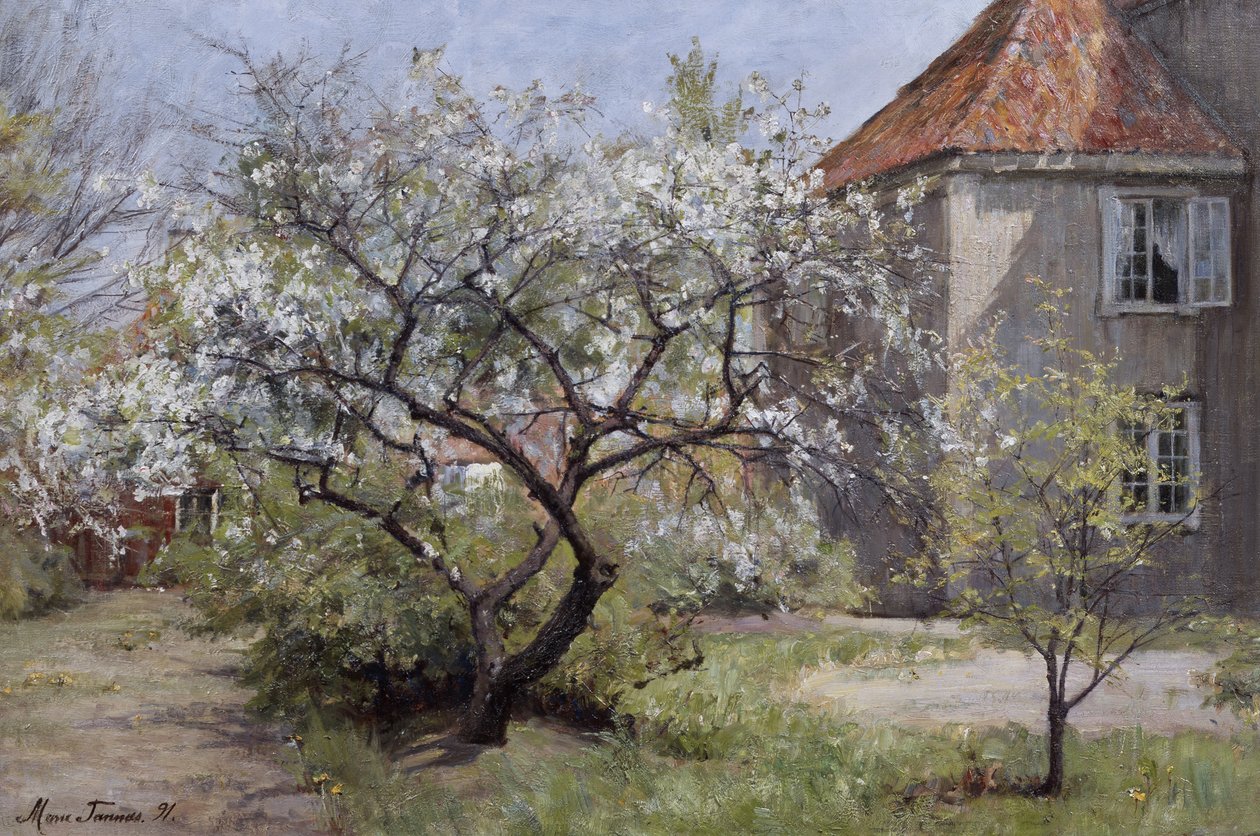 From Vøienvolden, Sagene (Oslo) av Marie Tannæs
