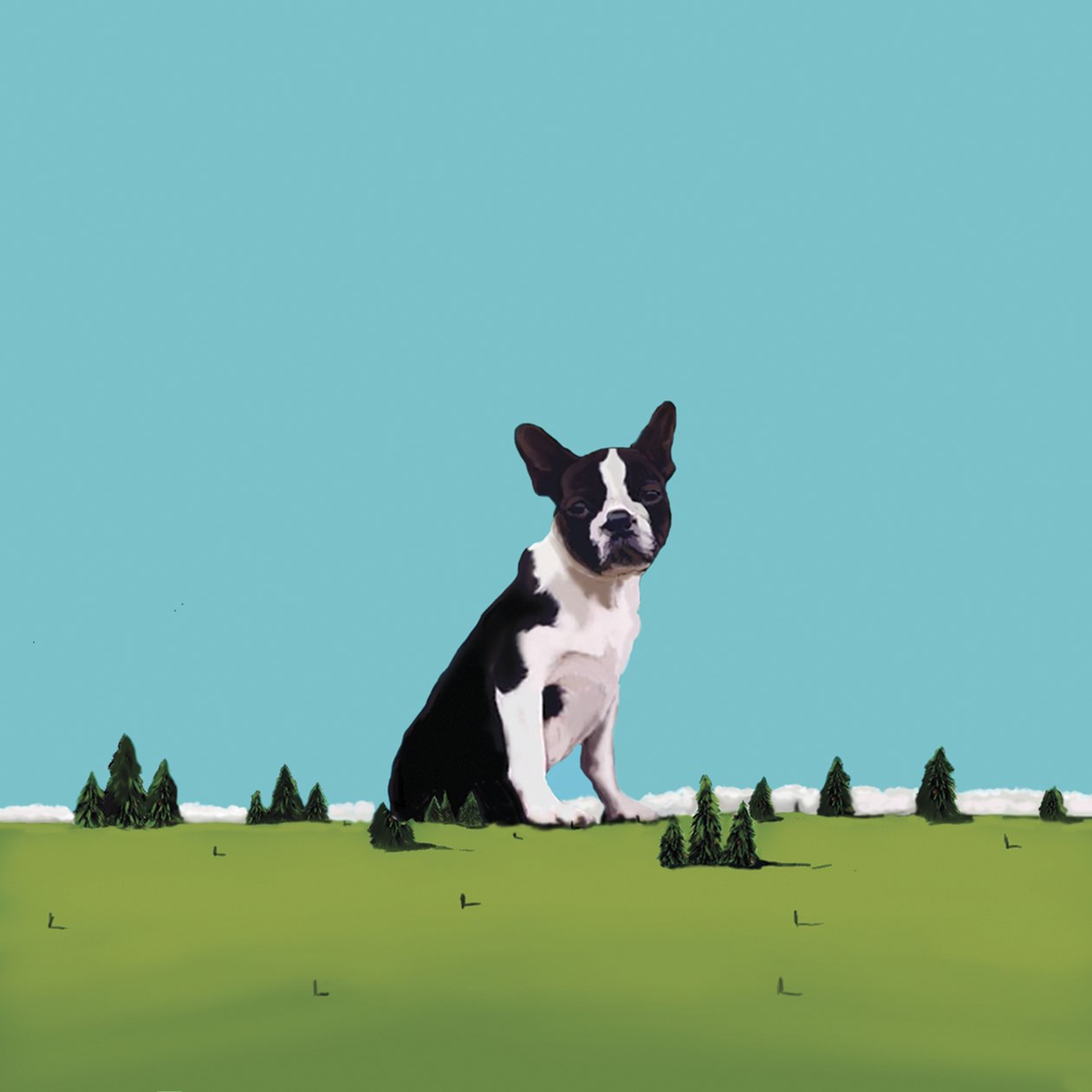 Boston Terrier, 2008 (akryl på lerret) av Marjorie Weiss
