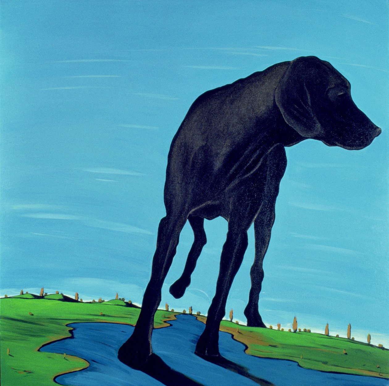 Joes Black Dog (ny visning), 2000 (akryl på lerret) av Marjorie Weiss
