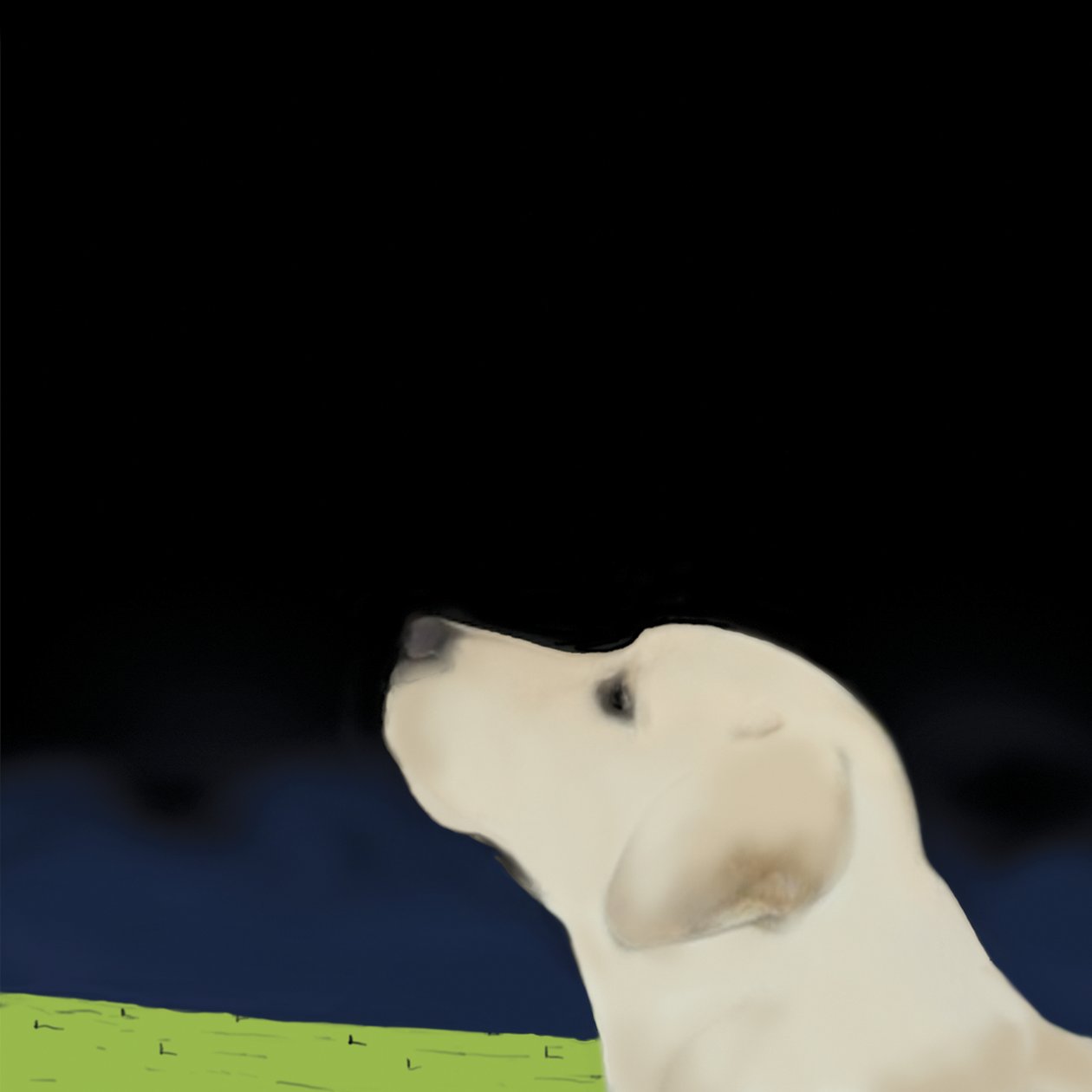 Yellow Dog Profile, 2008 (akryl på lerret) av Marjorie Weiss