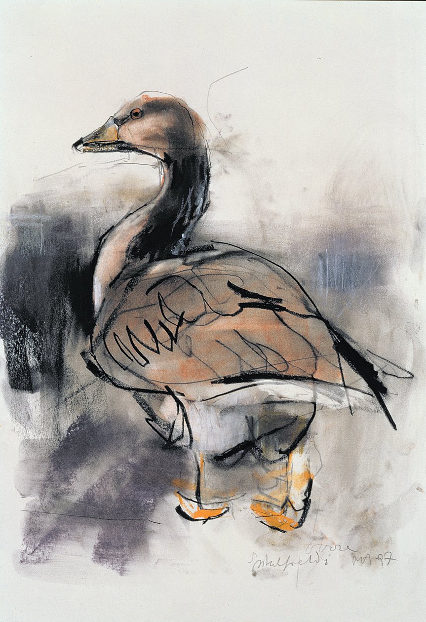 Spitalfields Goose, 1997 (grafitt og conte på papir) av Mark Adlington