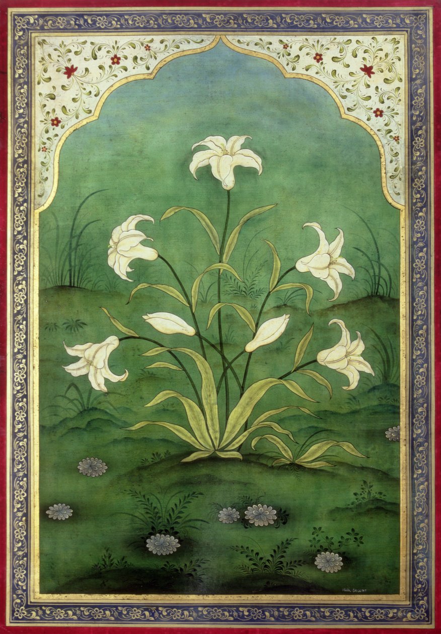 Hvite liljer (tempera på panel) av Mark Briscoe