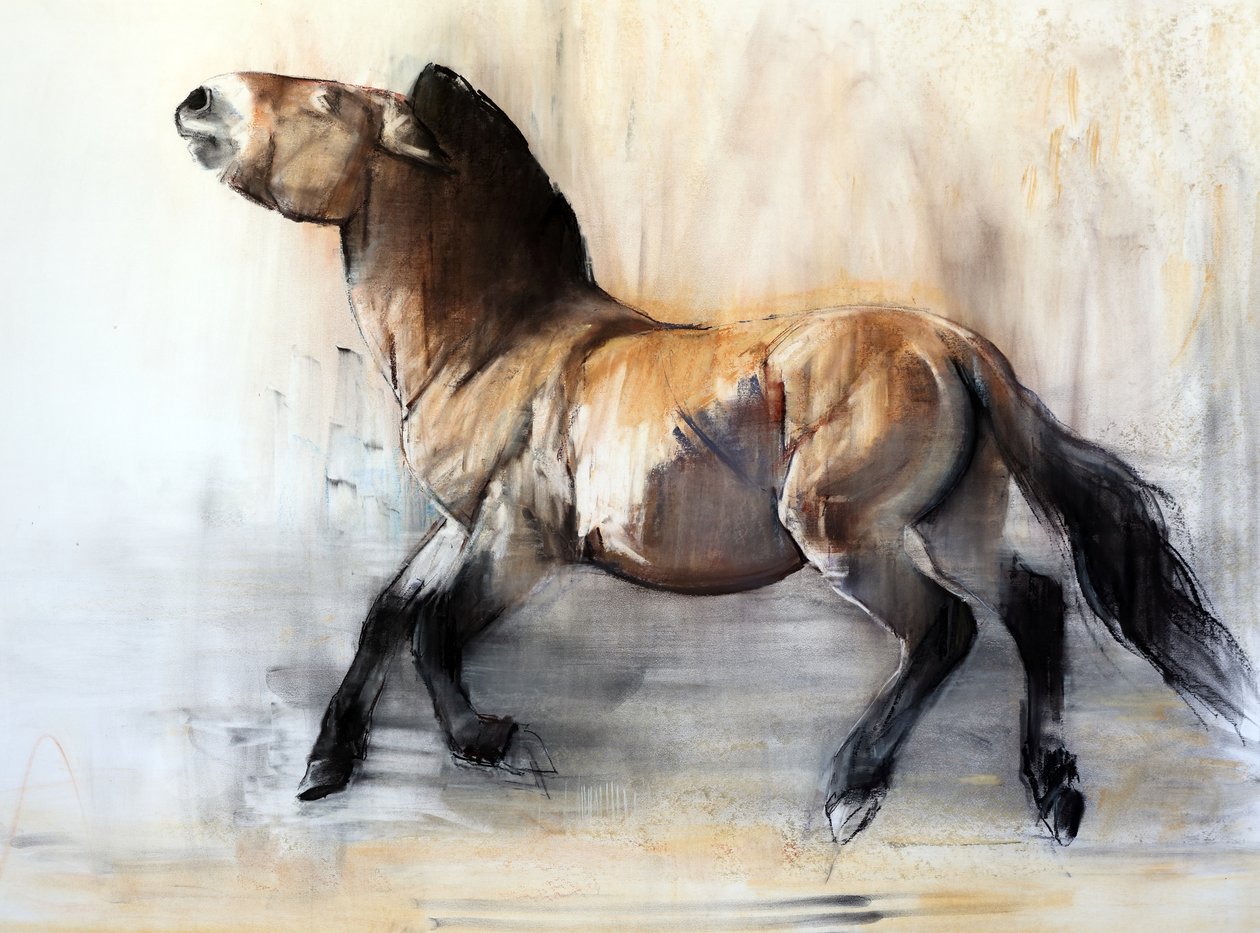 Ancient Horse (Przewalski om vinteren), 2014 av Mark Adlington