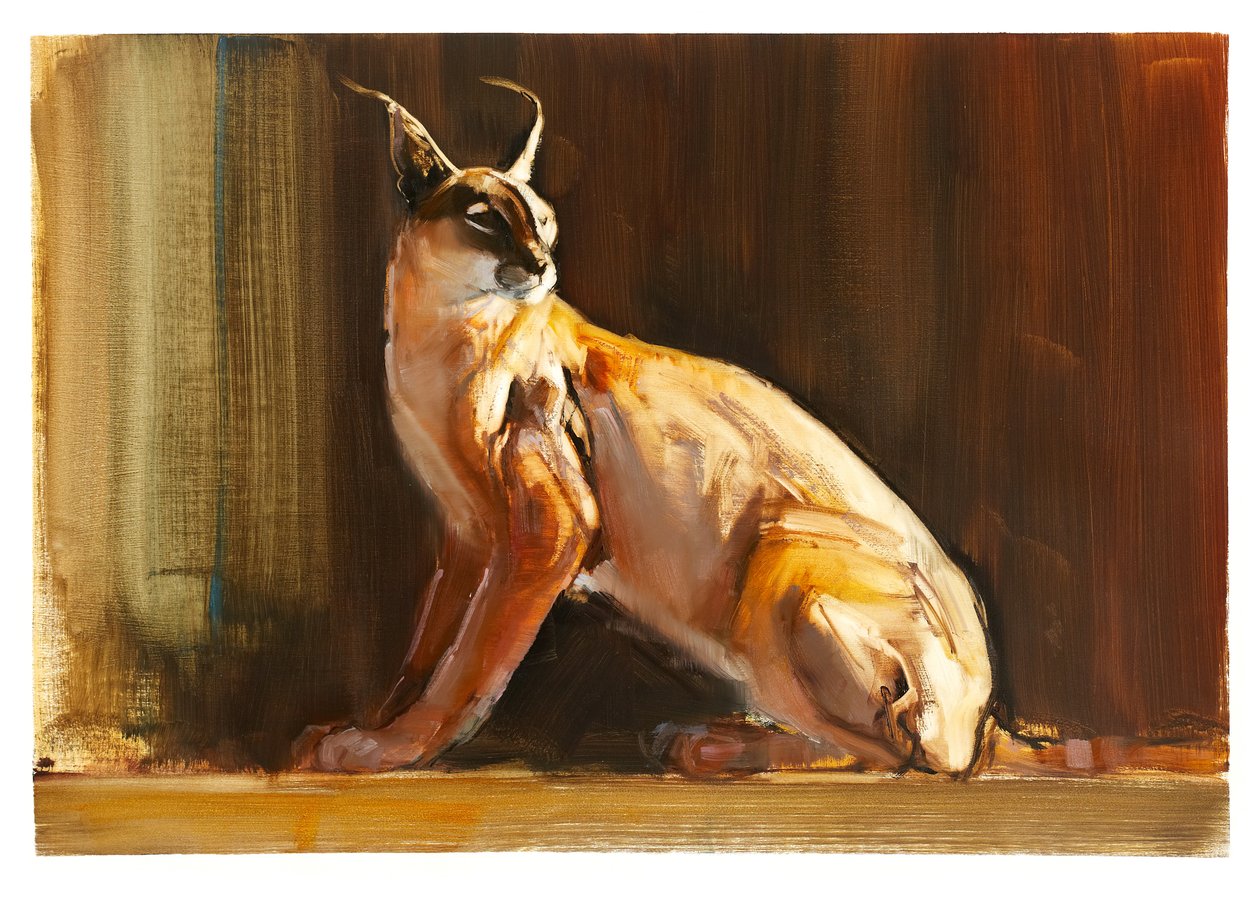 Arabian Caracal, 2010 (olje på papir) av Mark Adlington