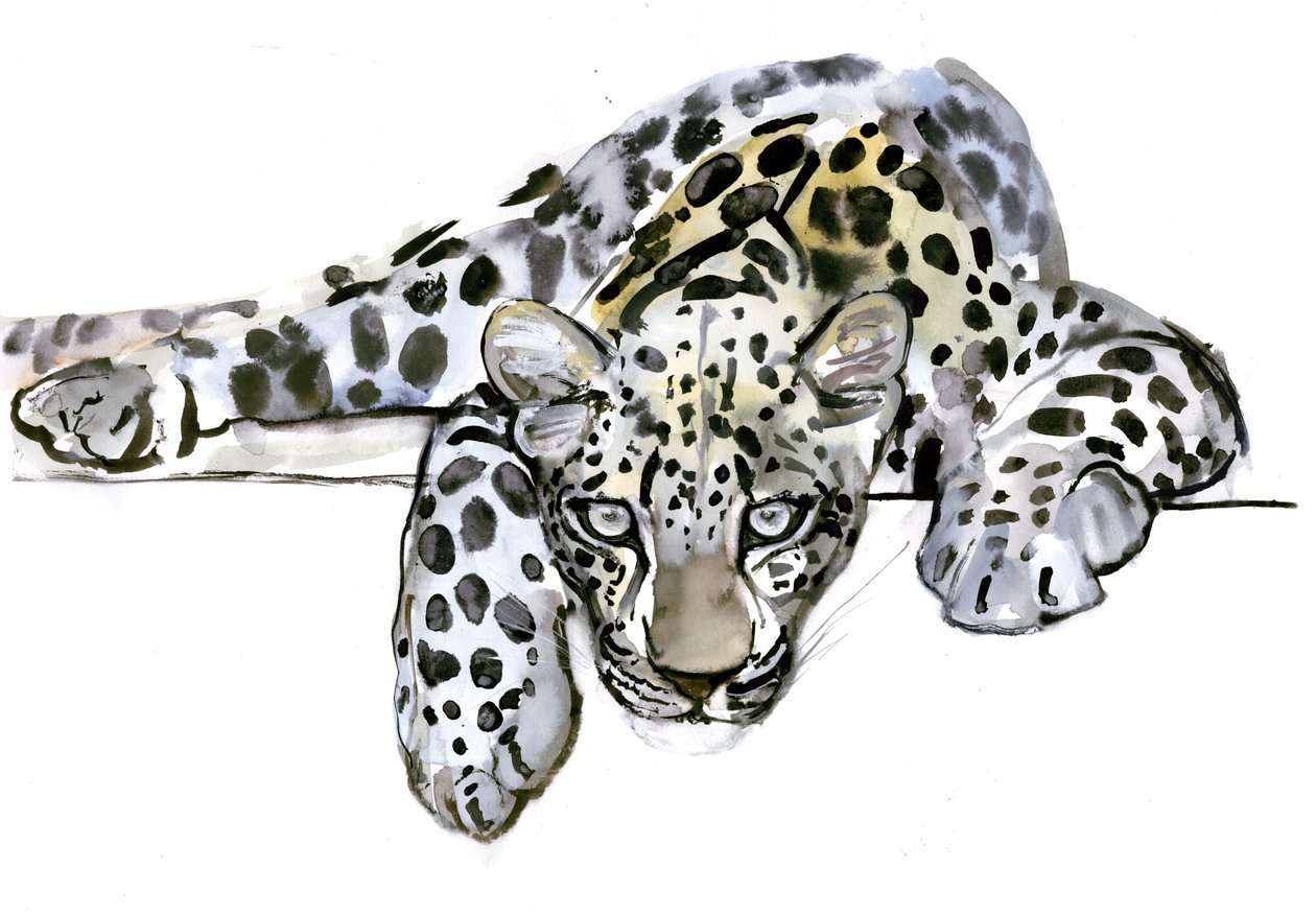 Arabisk leopard, 2008 av Mark Adlington