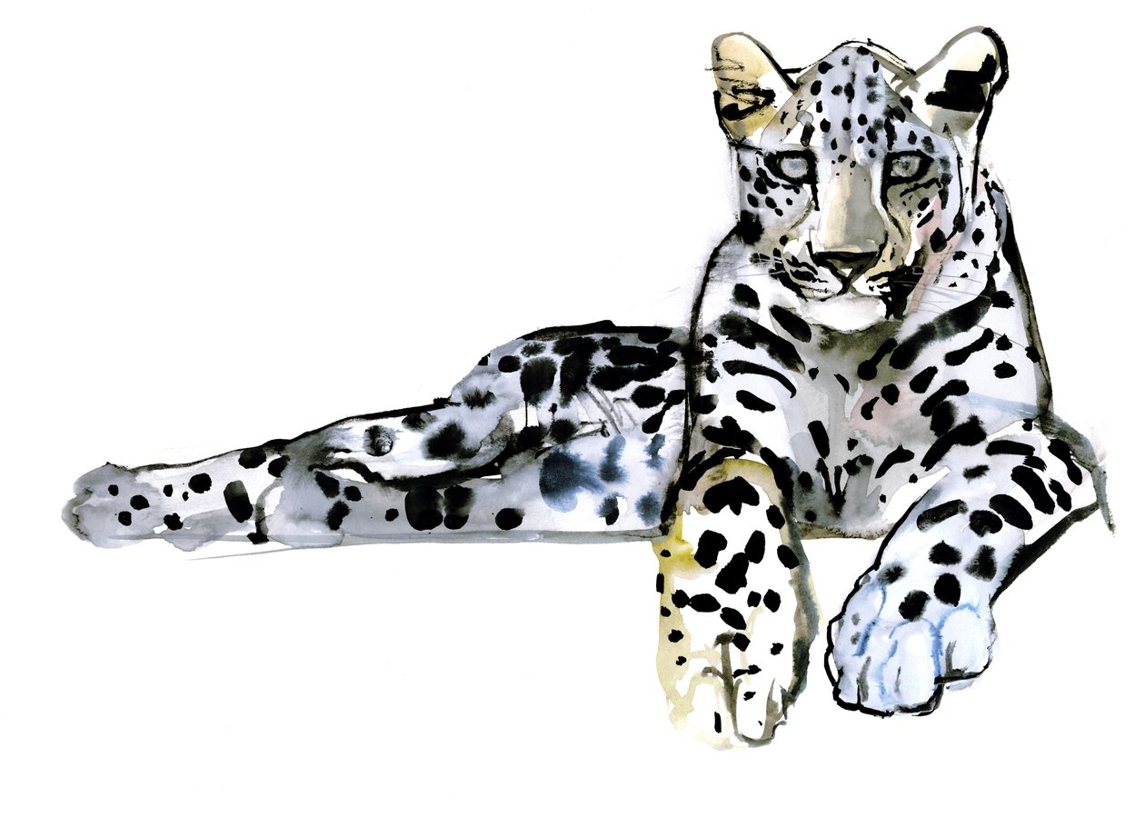 Arabisk leopard, 2008 av Mark Adlington