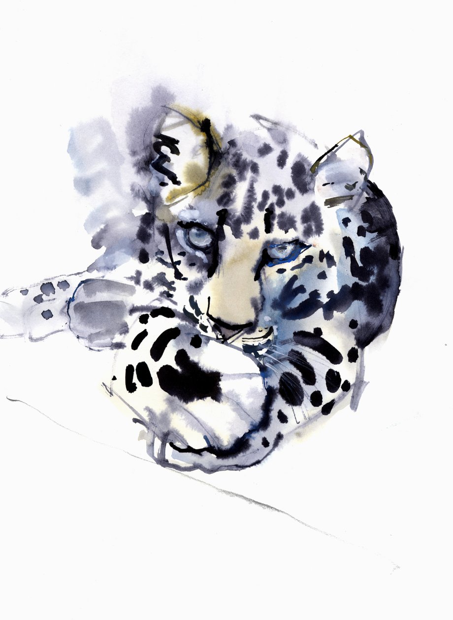 Arabisk leopard, 2008 av Mark Adlington