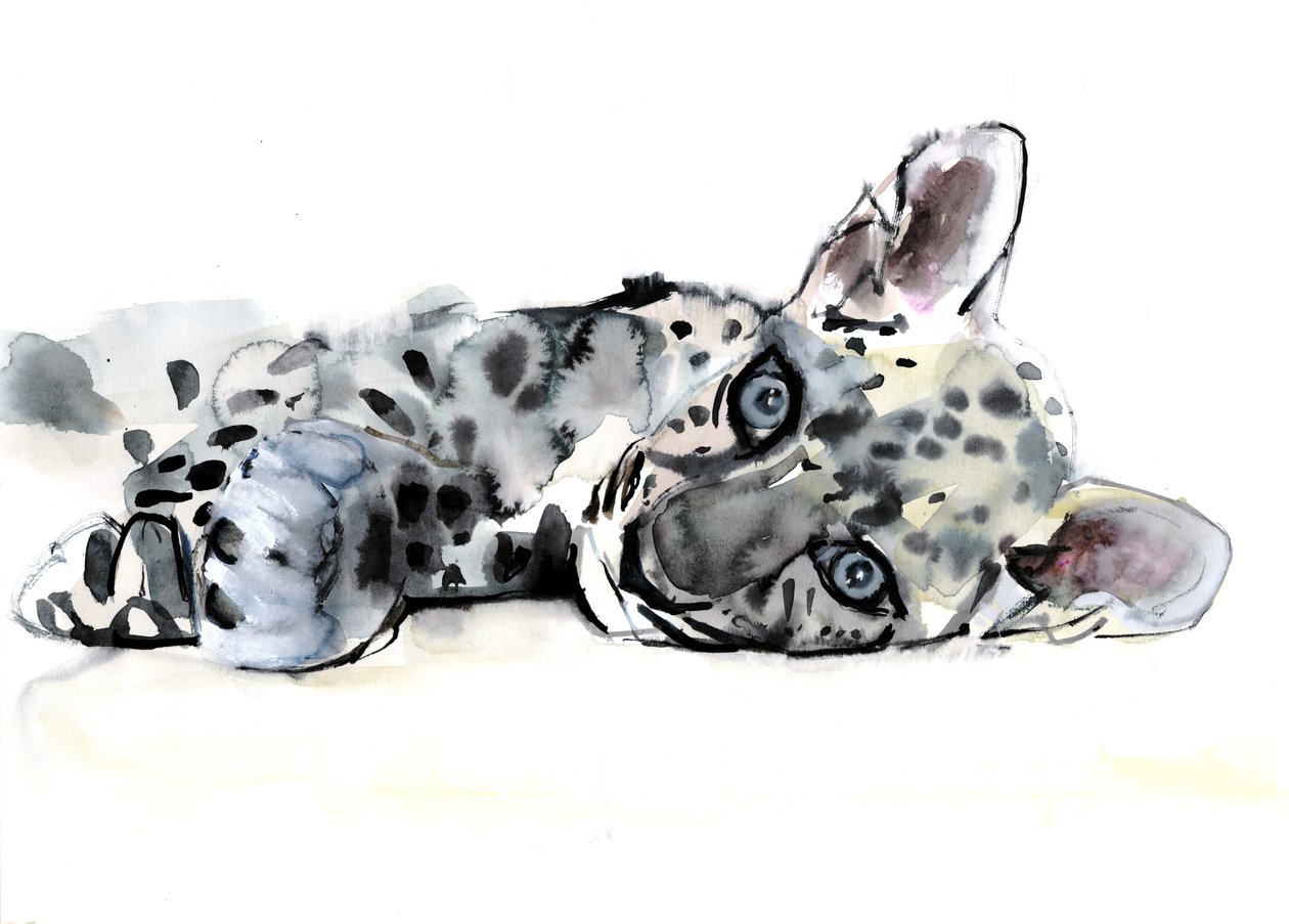 Arabisk leopardunge, 2008 av Mark Adlington