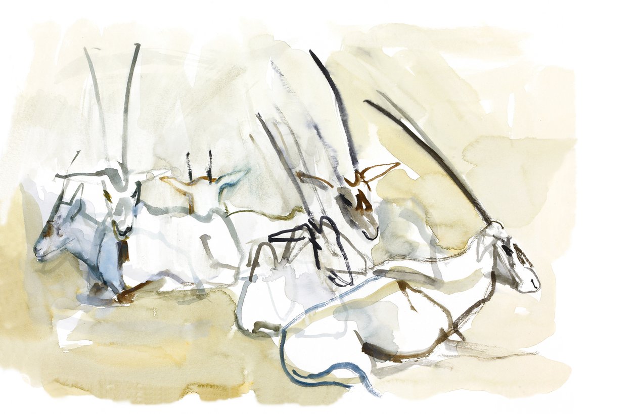 Arabian Oryx, 2010 (olje på papir) av Mark Adlington