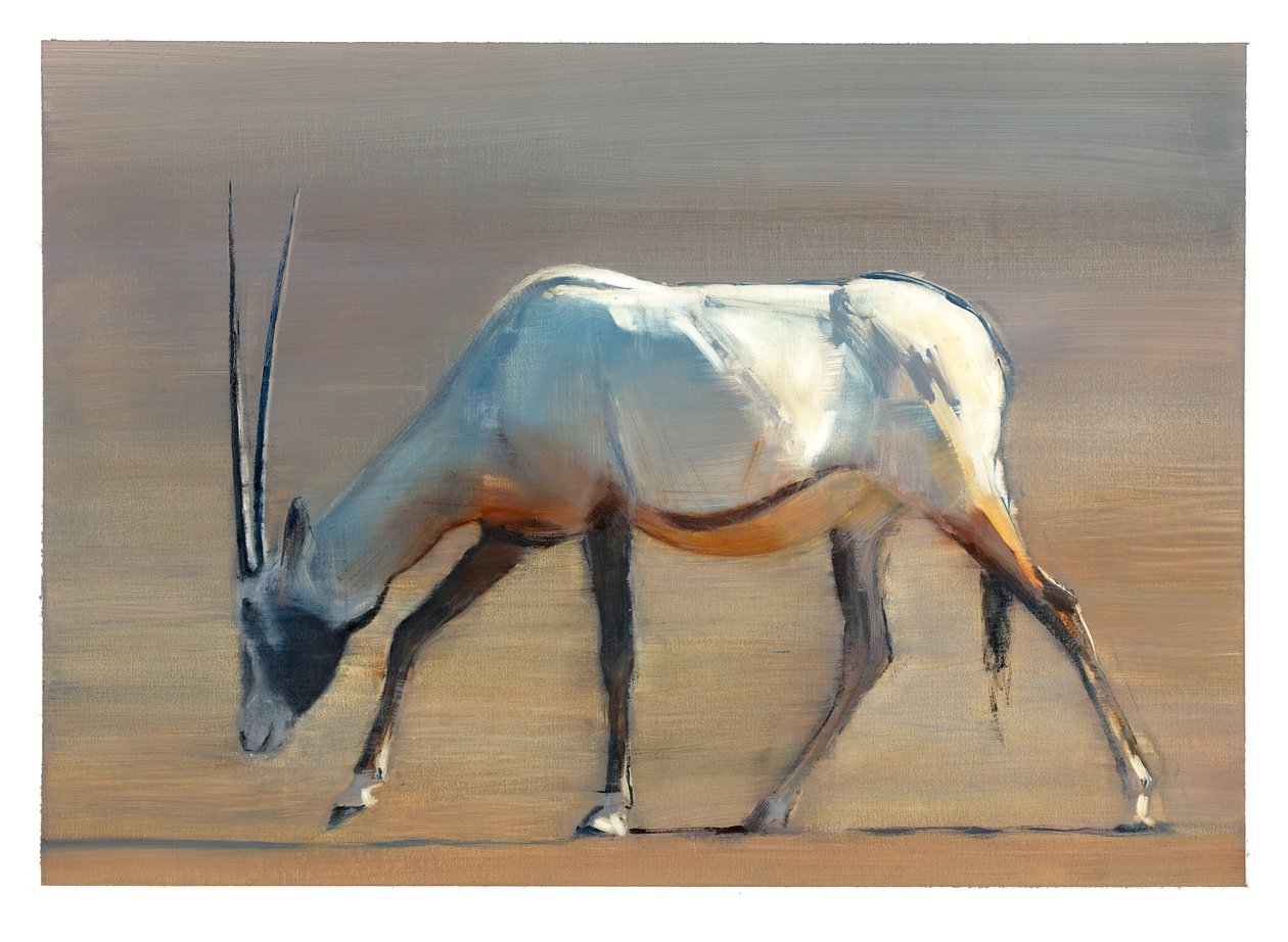 Arabian Oryx, 2010 (olje på papir) av Mark Adlington