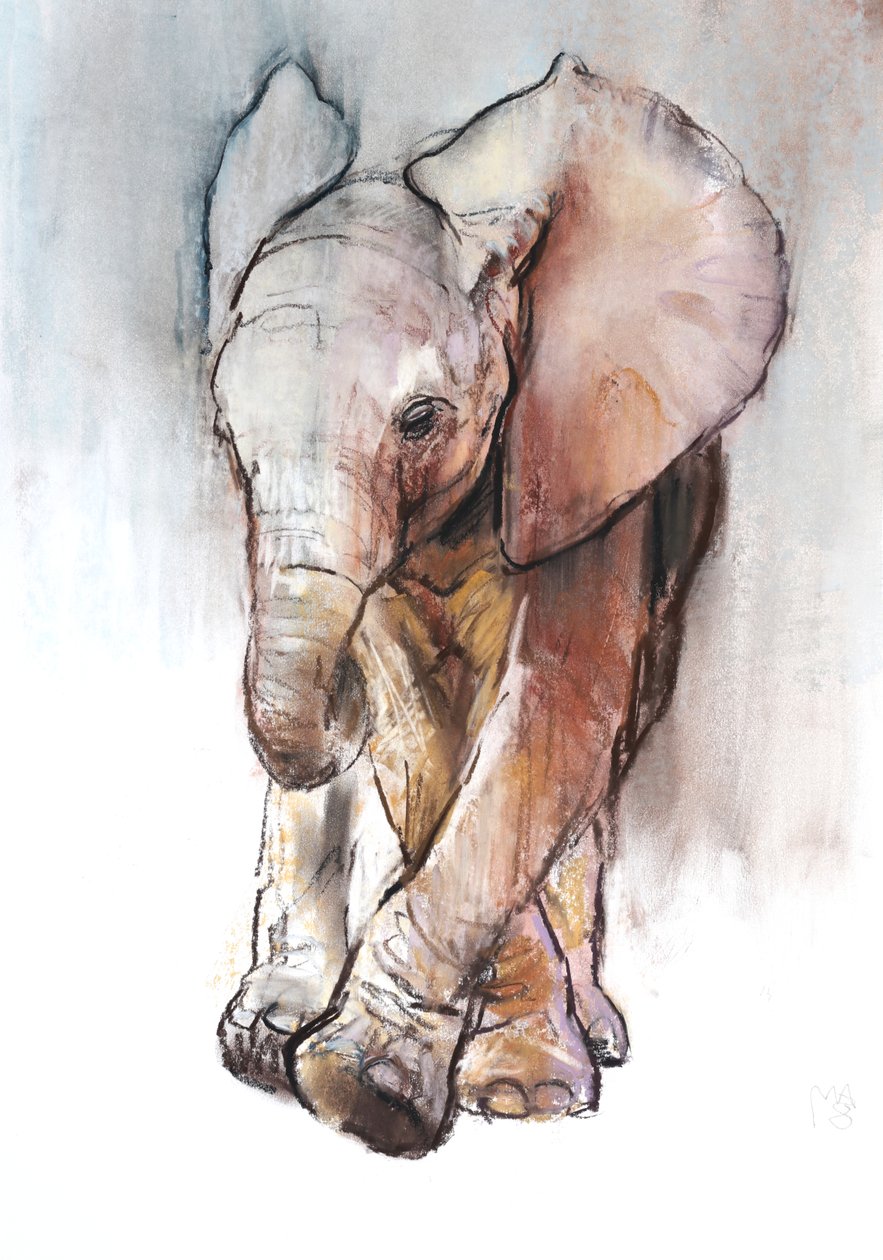 Baby Elephant 2, Loisaba, 2018 av Mark Adlington