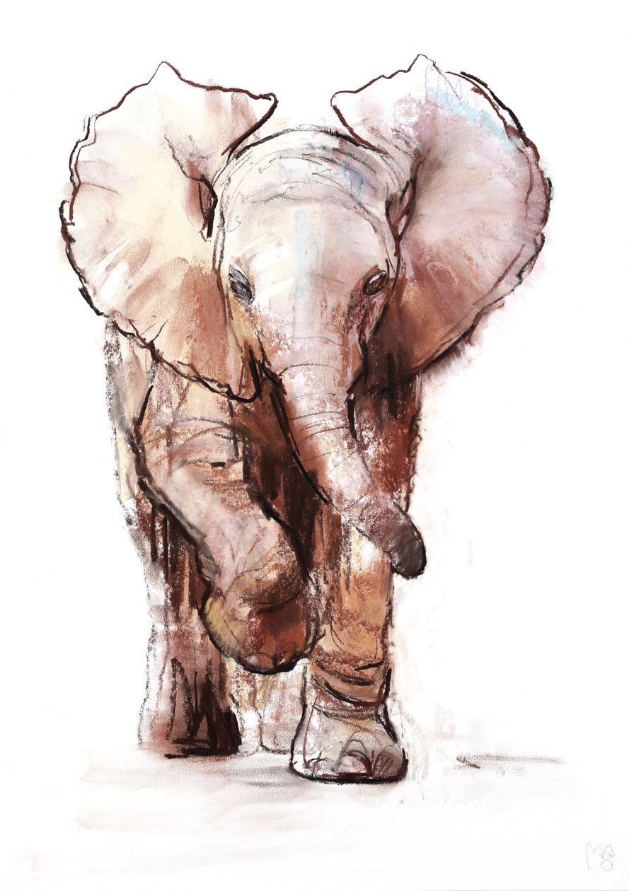 Elefantbaby, Loisaba, 2018 av Mark Adlington