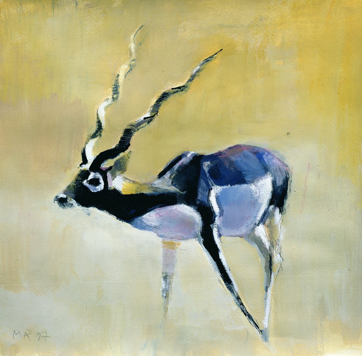 Black Buck, Velavadar, 1997 (blandet media på papir) av Mark Adlington