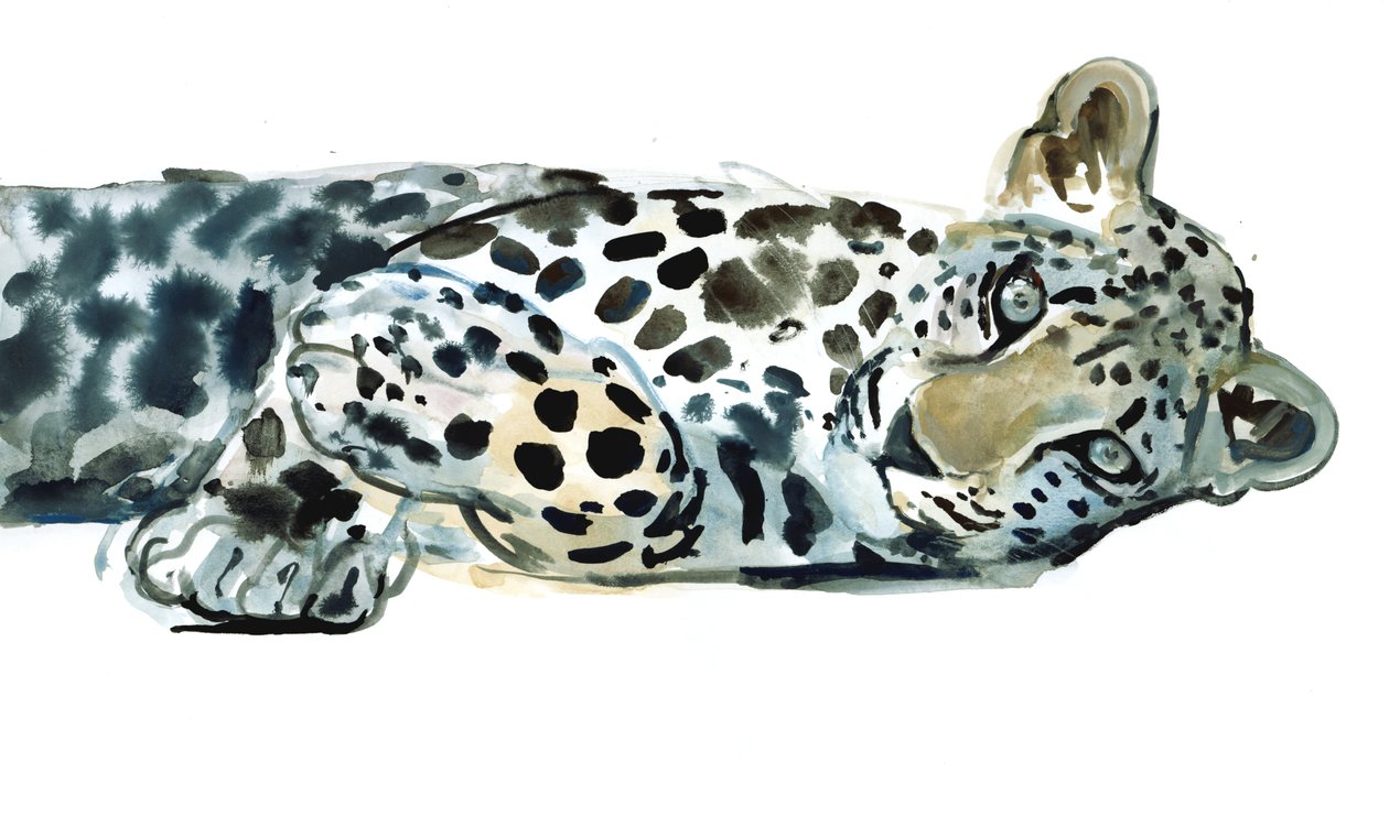 Broken Siesta, 2015, (akvarell på papir) av Mark Adlington