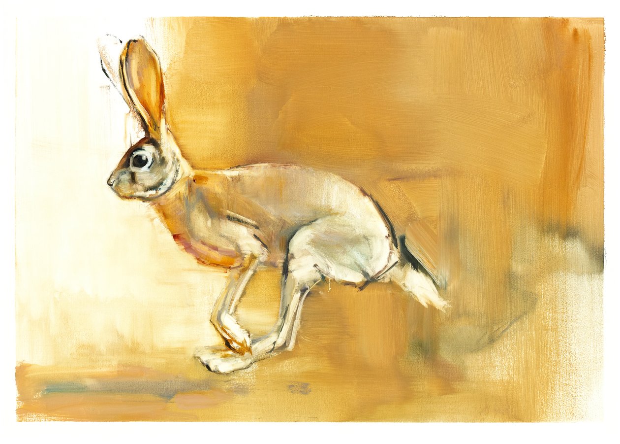 Cape Hare, 2010 (olje på papir) av Mark Adlington