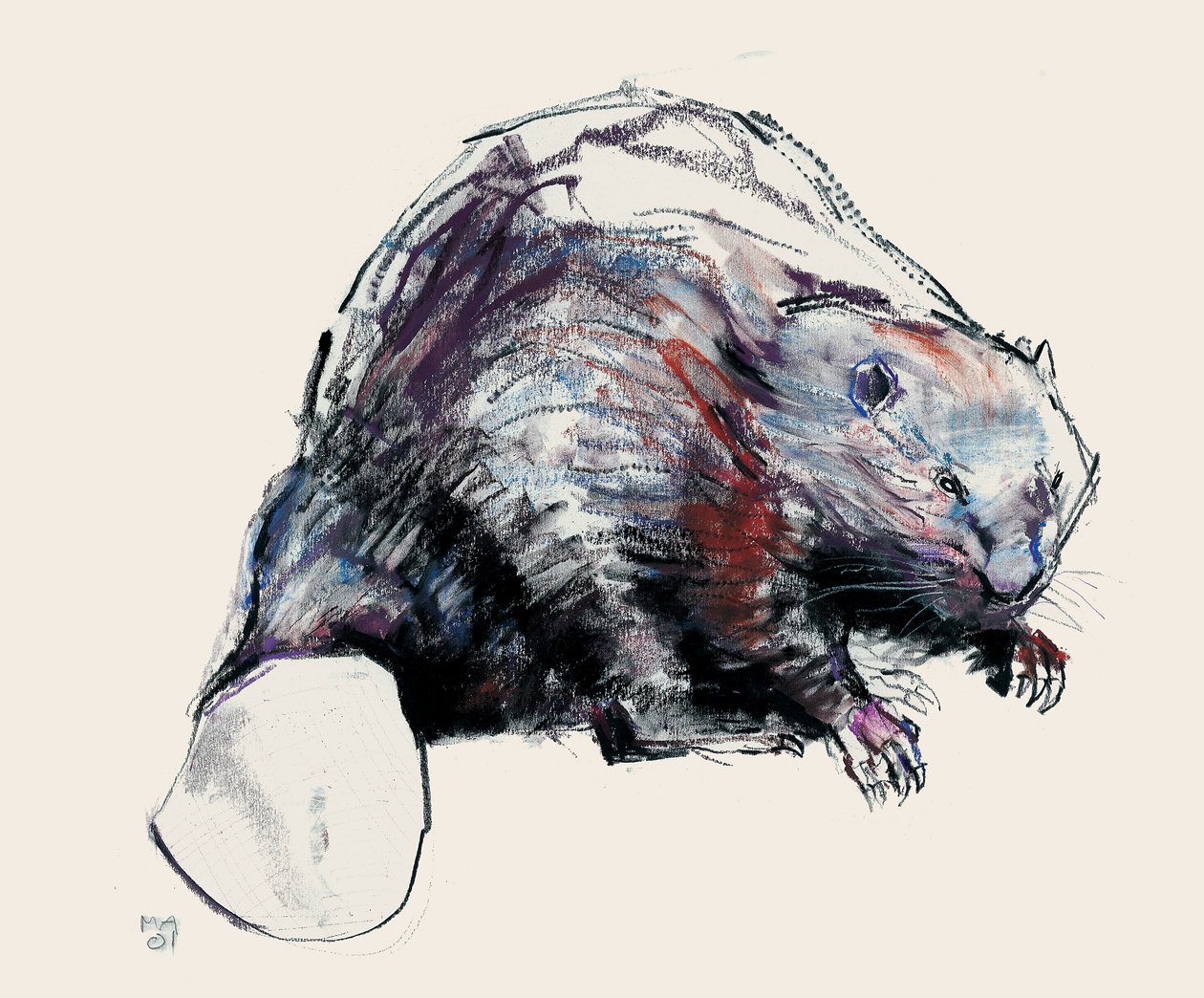 Castor Fiber, 2001 (kull und conte på papir) av Mark Adlington