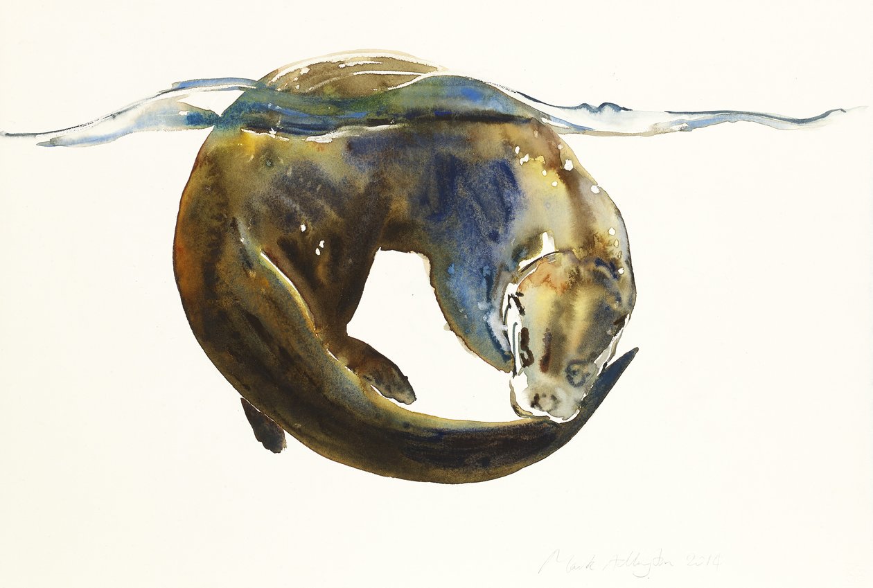 Circle of life, 2014, (akvarell på papir) av Mark Adlington