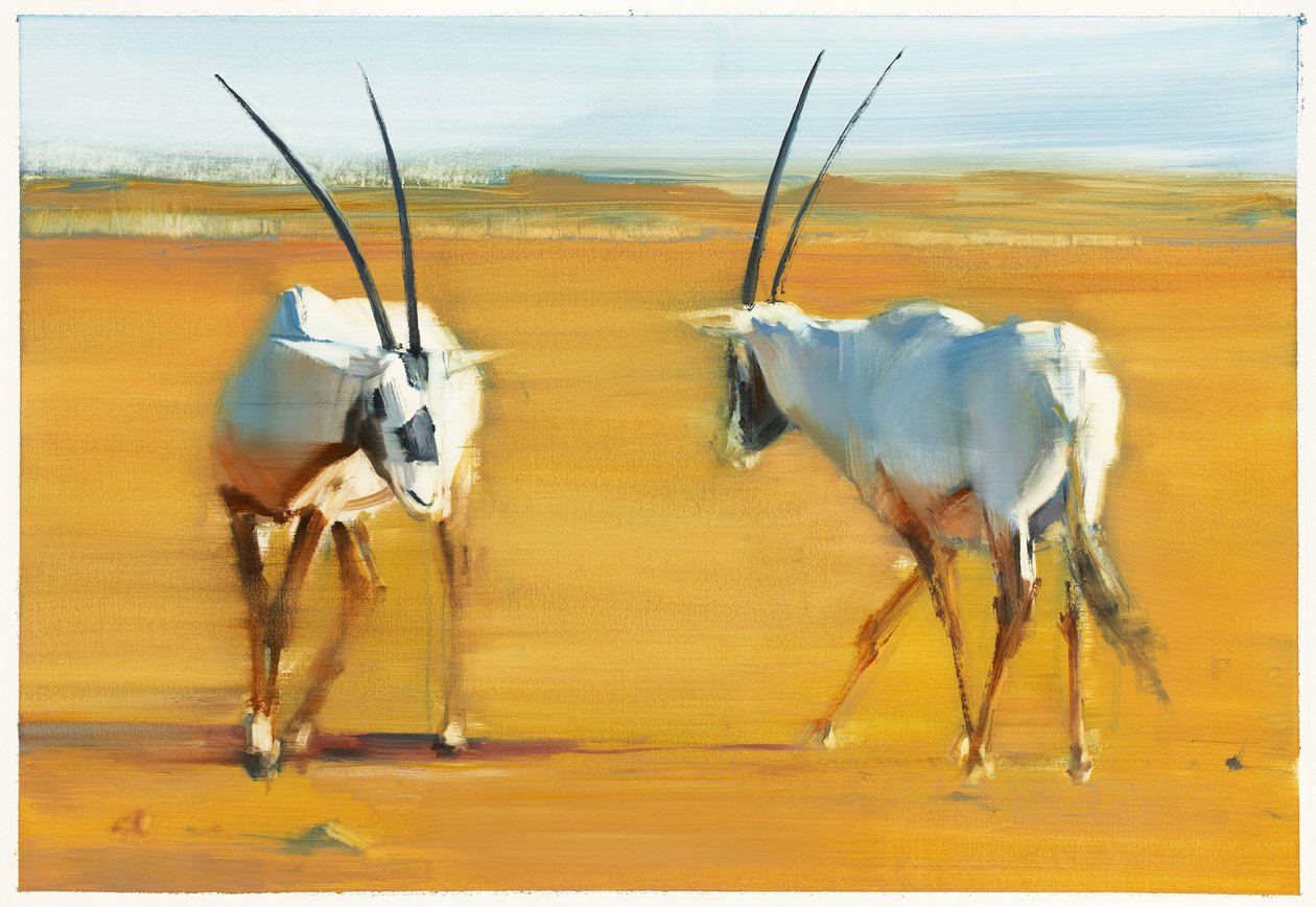 Circling Arabian Oryx, 2010 (olje på papir) av Mark Adlington