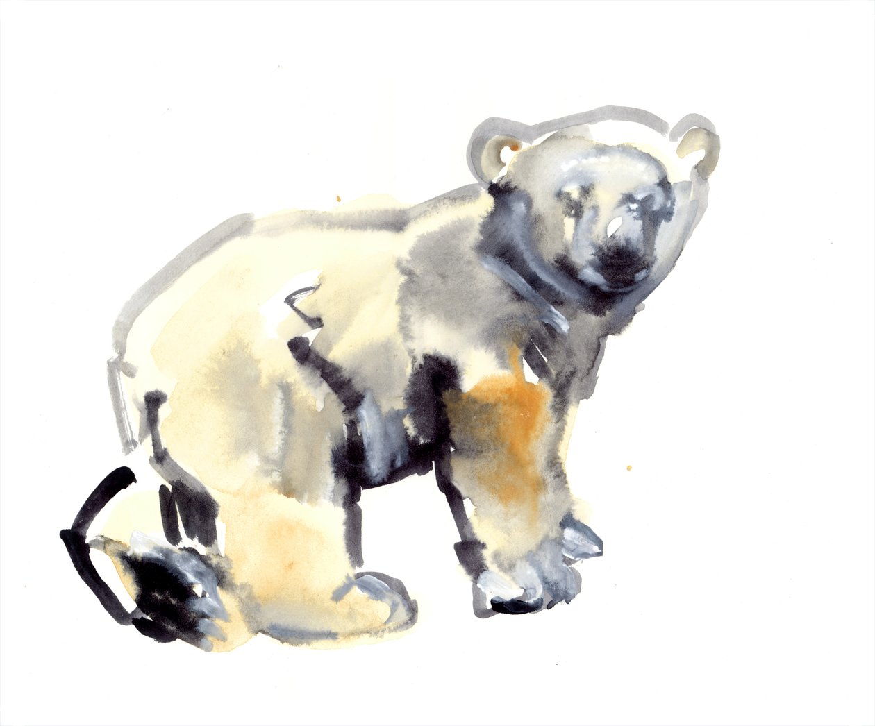 Cub, 2015, (akvarell og gouache på papir) av Mark Adlington