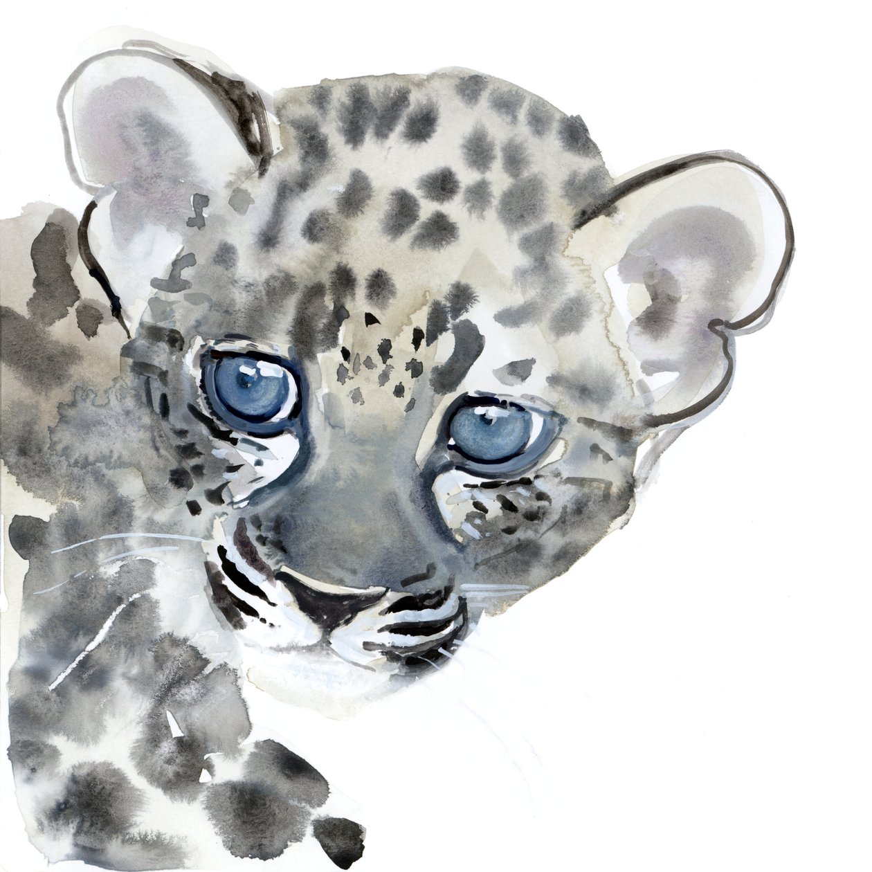 Cub, 2015, (akvarell på papir) av Mark Adlington