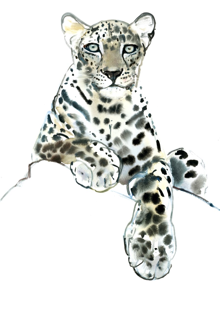 Direct (Arabian Leopard), 2015, (akvarell og gouache på papir) av Mark Adlington