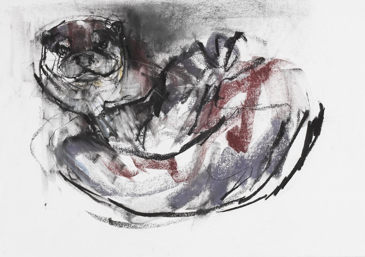 Dog Otter (kull und conte på papir) av Mark Adlington