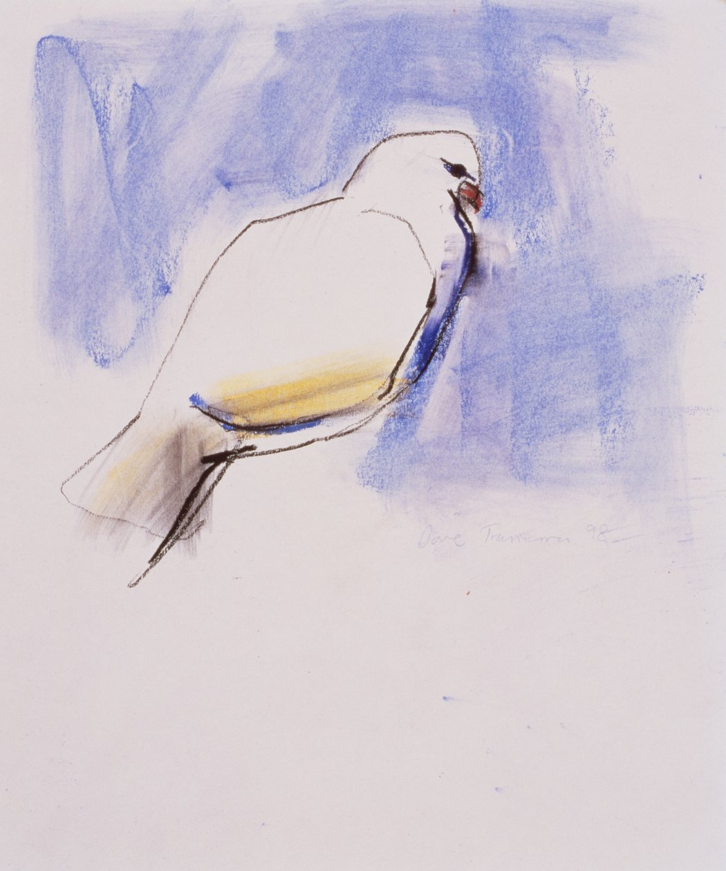 Dove, Trasierra, 1998 (grafitt, kull og conte på papir) av Mark Adlington