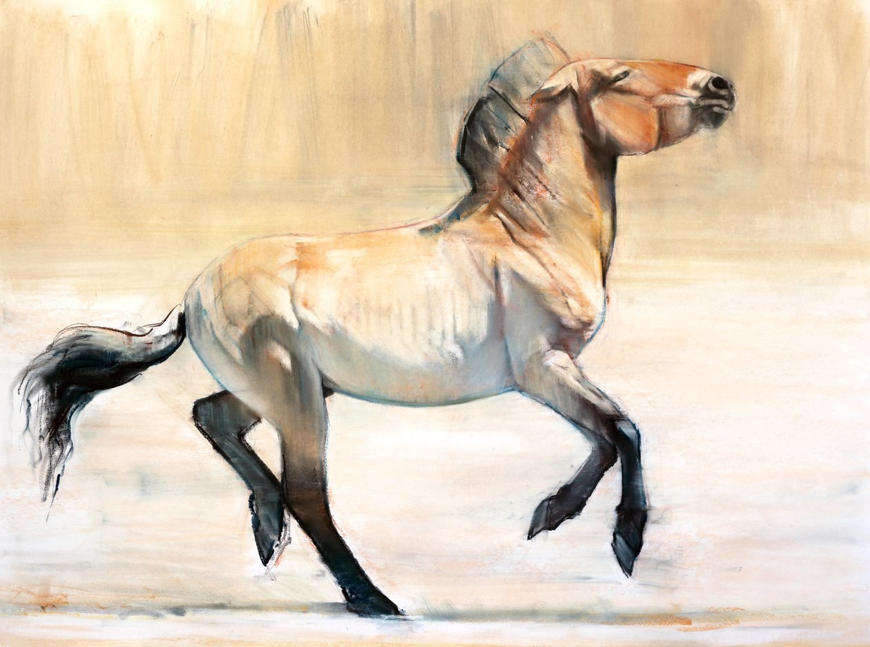 Equus (Przewalski), 2014, (pastell og kull på papir) av Mark Adlington