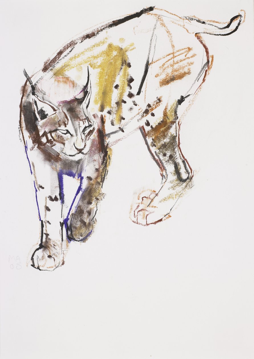 European Lynx (kull und conte på papir) av Mark Adlington