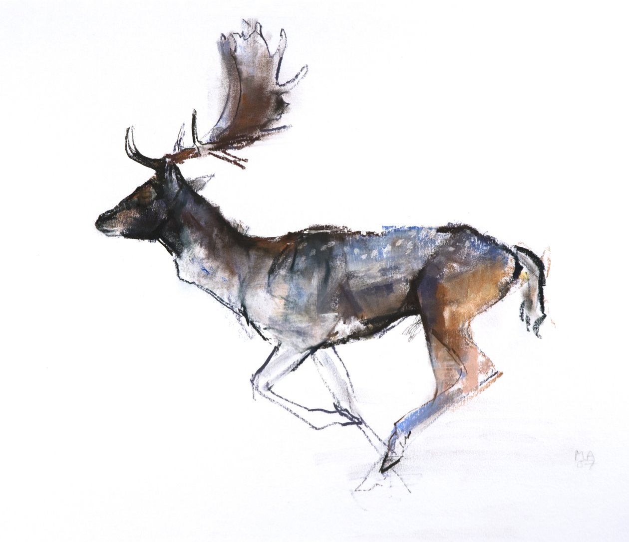 Evening Buck (Dåhjort), 2007, (pastell og conté på papir) av Mark Adlington