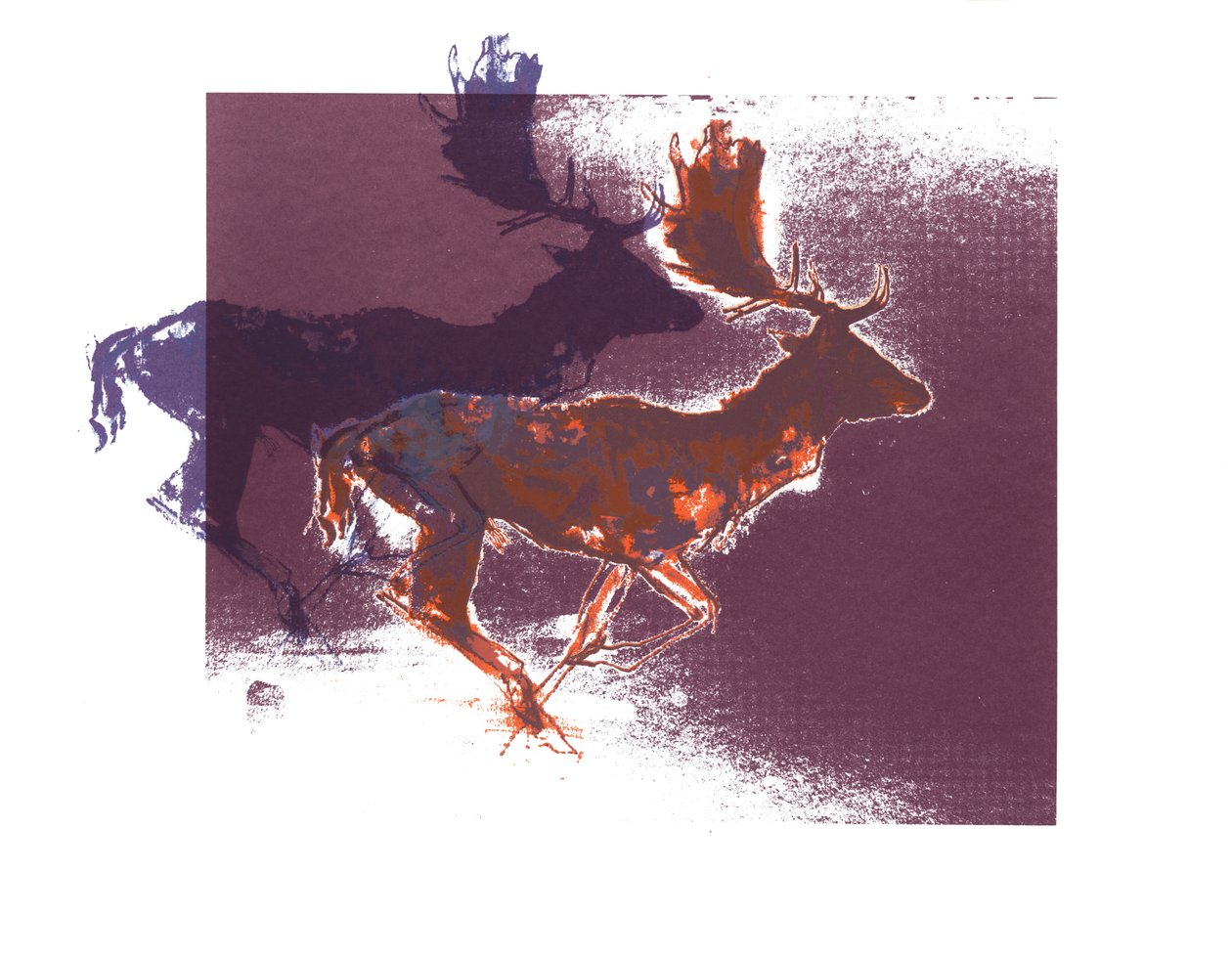 Fallow Bucks (orangelilac), 2015, (skjermtrykk) av Mark Adlington