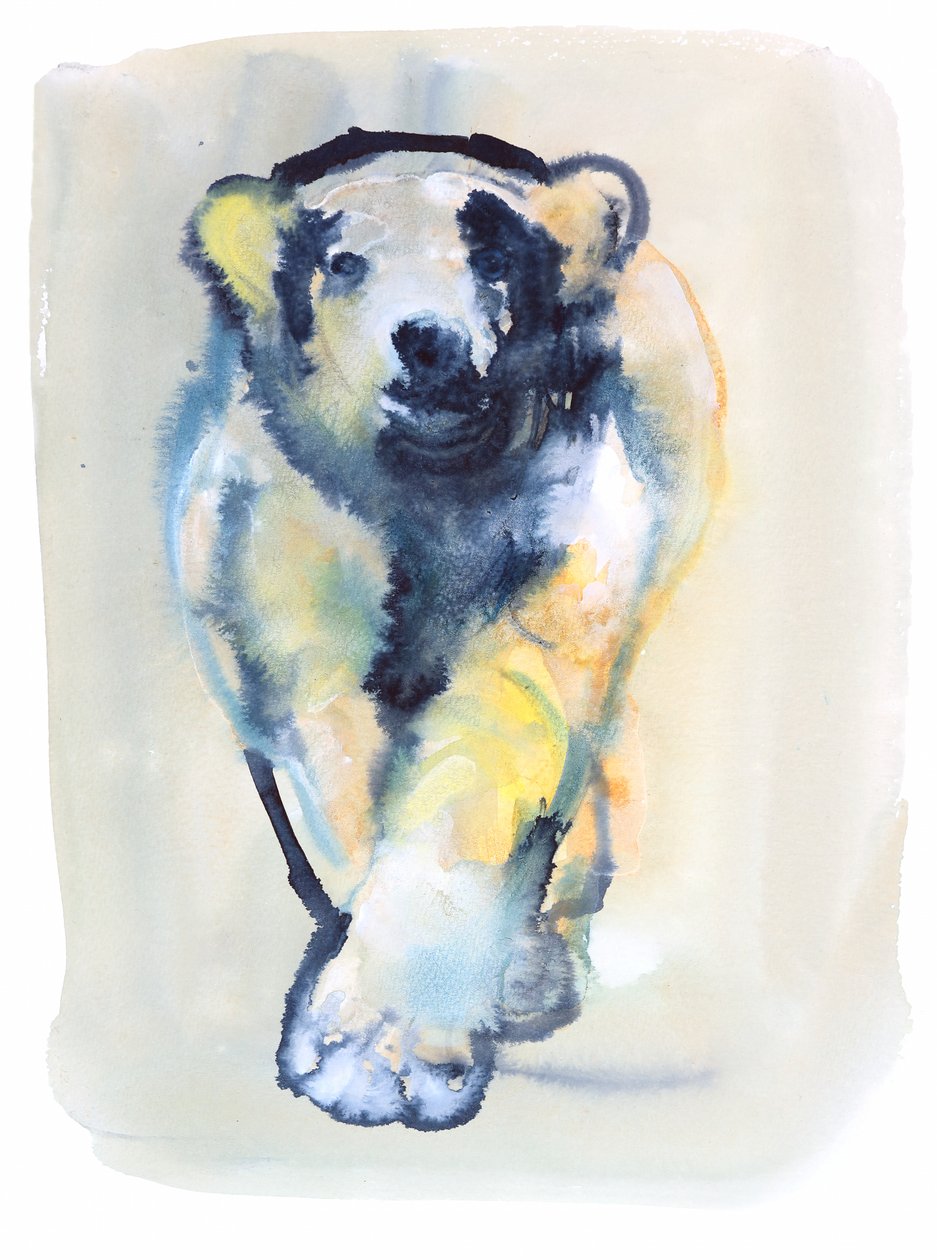 Fearless, 2015, (akvarell og gouache på papir) av Mark Adlington